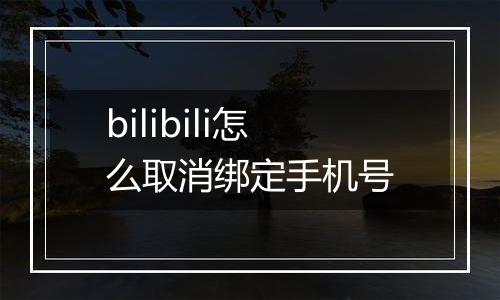 bilibili怎么取消绑定手机号
