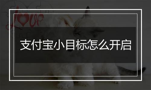 支付宝小目标怎么开启