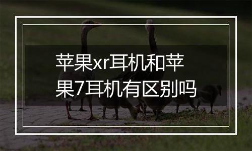 苹果xr耳机和苹果7耳机有区别吗