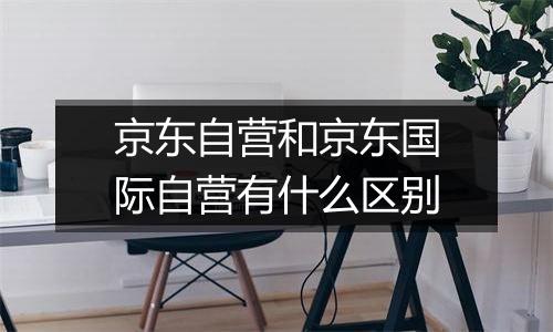 京东自营和京东国际自营有什么区别