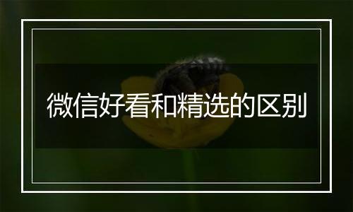 微信好看和精选的区别