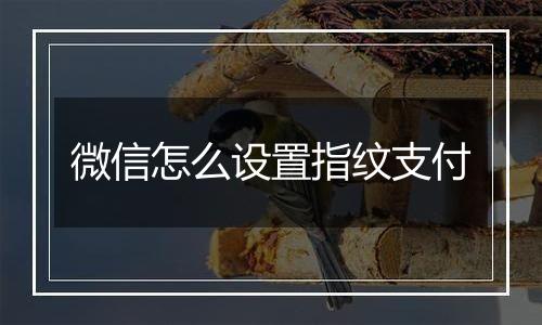 微信怎么设置指纹支付