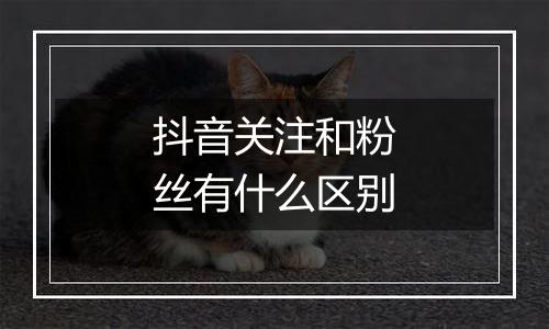 抖音关注和粉丝有什么区别