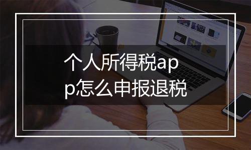 个人所得税app怎么申报退税