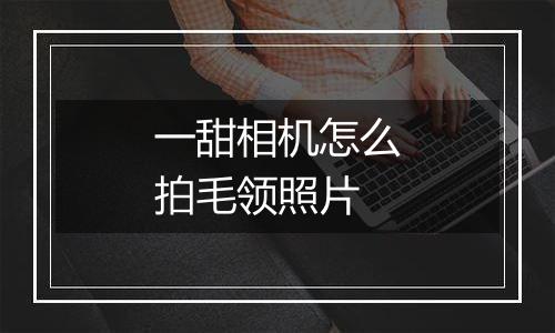 一甜相机怎么拍毛领照片