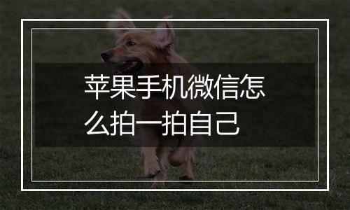 苹果手机微信怎么拍一拍自己