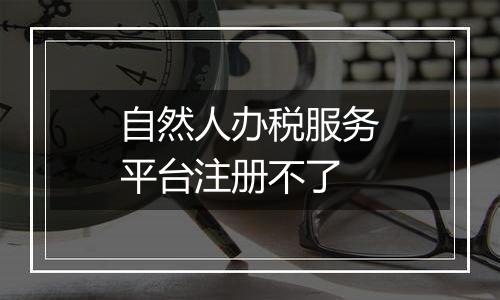自然人办税服务平台注册不了