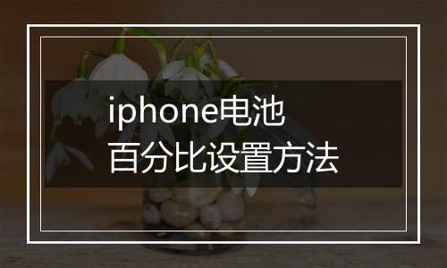 iphone电池百分比设置方法
