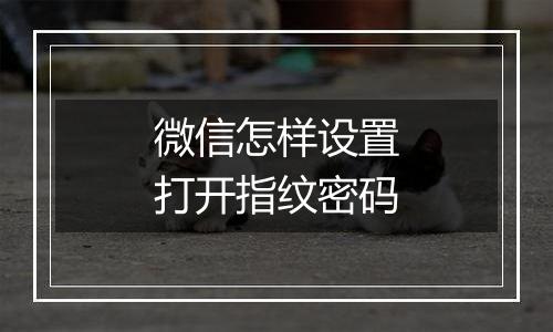 微信怎样设置打开指纹密码