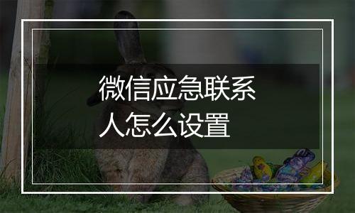 微信应急联系人怎么设置