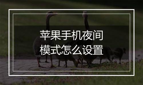 苹果手机夜间模式怎么设置