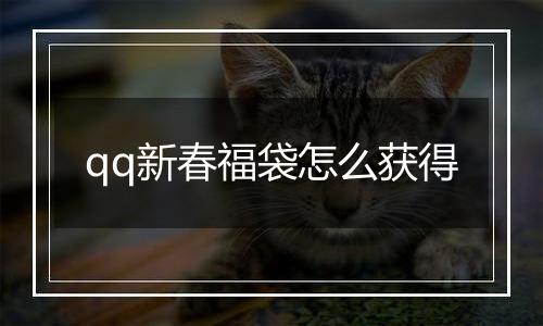 qq新春福袋怎么获得