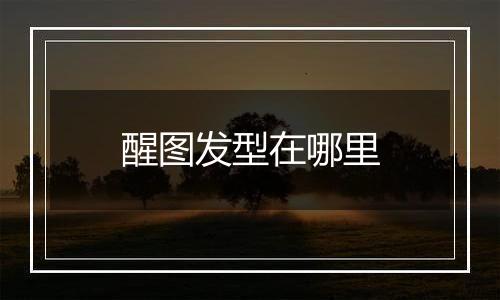 醒图发型在哪里