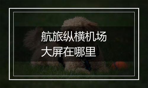 航旅纵横机场大屏在哪里