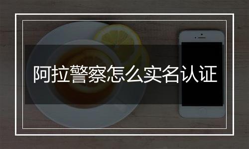 阿拉警察怎么实名认证