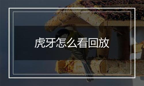 虎牙怎么看回放