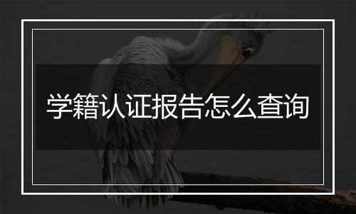 学籍认证报告怎么查询