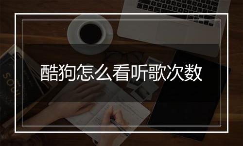 酷狗怎么看听歌次数