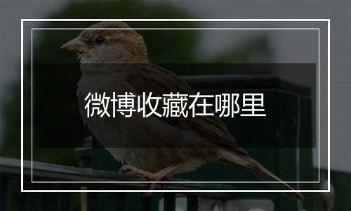 微博收藏在哪里