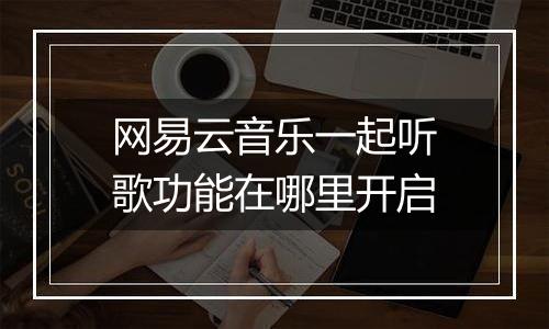 网易云音乐一起听歌功能在哪里开启