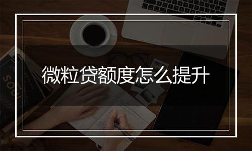 微粒贷额度怎么提升