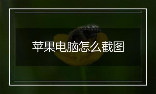 苹果电脑怎么截图