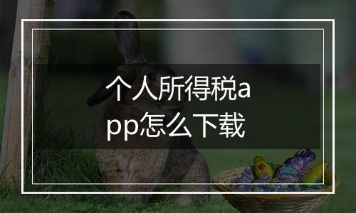 个人所得税app怎么下载