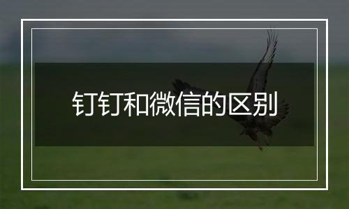 钉钉和微信的区别