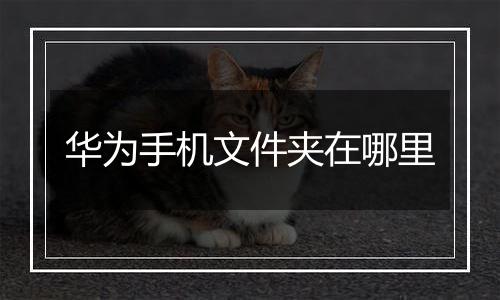 华为手机文件夹在哪里