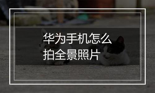 华为手机怎么拍全景照片