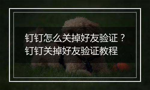 钉钉怎么关掉好友验证？钉钉关掉好友验证教程