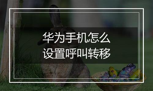 华为手机怎么设置呼叫转移