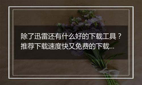 除了迅雷还有什么好的下载工具？推荐下载速度快又免费的下载工具