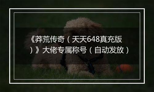 《莽荒传奇（天天648真充版）》大佬专属称号（自动发放）