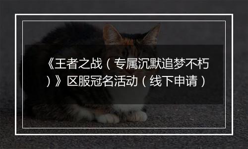 《王者之战（专属沉默追梦不朽）》区服冠名活动（线下申请）