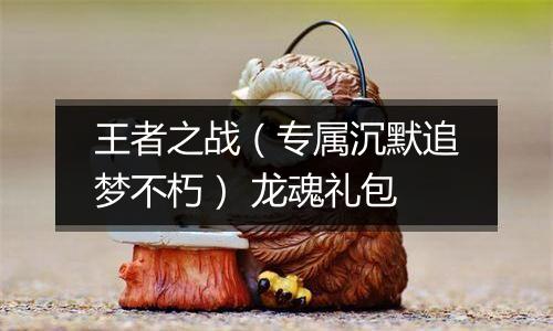 王者之战（专属沉默追梦不朽） 龙魂礼包