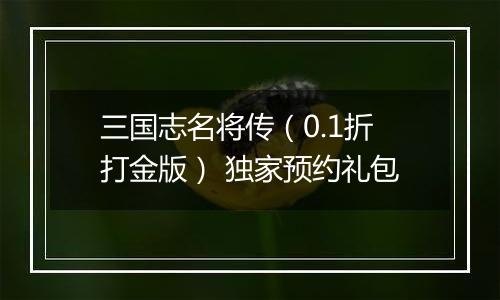 三国志名将传（0.1折打金版） 独家预约礼包