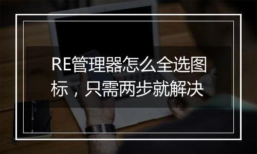 RE管理器怎么全选图标，只需两步就解决
