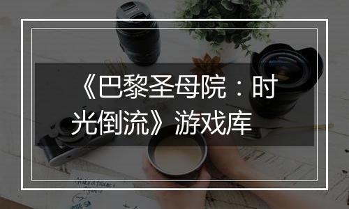 《巴黎圣母院：时光倒流》游戏库