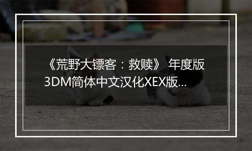 《荒野大镖客：救赎》 年度版 3DM简体中文汉化XEX版XBOX360版