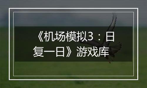 《机场模拟3：日复一日》游戏库