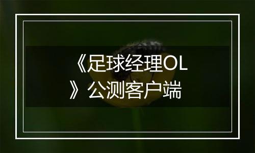 《足球经理OL》公测客户端