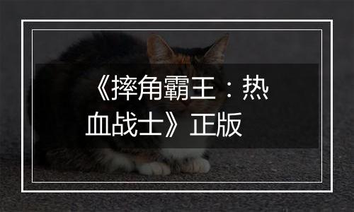 《摔角霸王：热血战士》正版