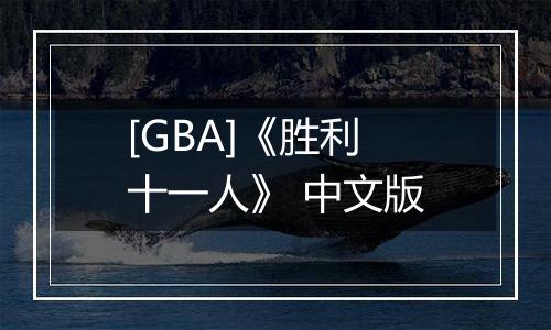 [GBA]《胜利十一人》 中文版