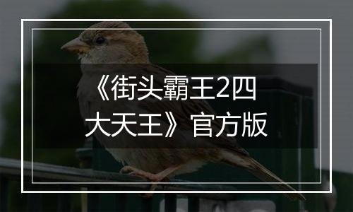 《街头霸王2四大天王》官方版