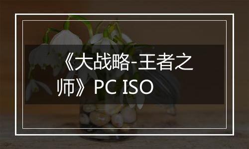 《大战略-王者之师》PC ISO