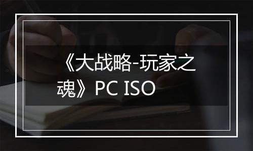 《大战略-玩家之魂》PC ISO