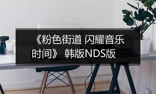 《粉色街道 闪耀音乐时间》 韩版NDS版