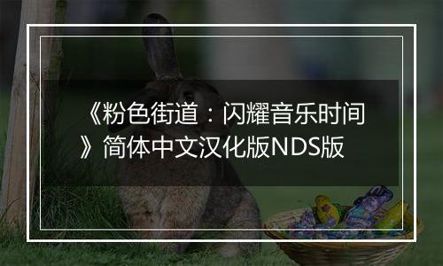 《粉色街道：闪耀音乐时间》简体中文汉化版NDS版