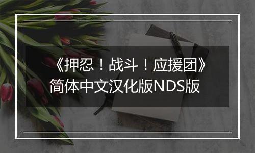 《押忍！战斗！应援团》简体中文汉化版NDS版